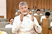 आंध्र के मुख्यमंत्री ने भारी बारिश को लेकर सतर्क रहने, सिंचाई कार्यों में तेजी लाने का निर्देश दिया